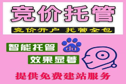 SEM公司广告策略案例：如何实现ROI最大化